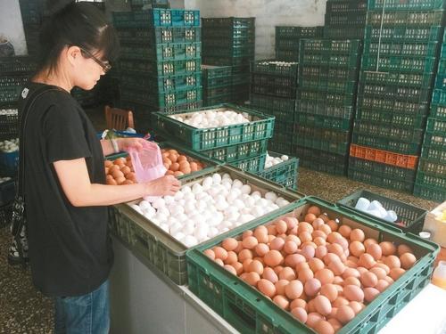 ̨���û����������������췽�϶�Ϊż����Ⱦ