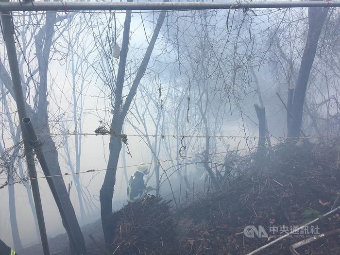 台中市发生火烧山延烧约1.5公顷消防局派员救援