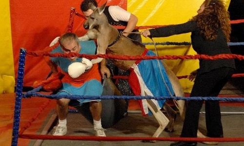 ��Ϸ�����������ȭ��������ڲ��̱���ͣ��ͼ��