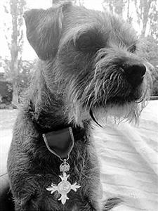 ͻ��ҩ����Ӱ��������ѫѫ�±����Ϲ����ӣ�ͼ��