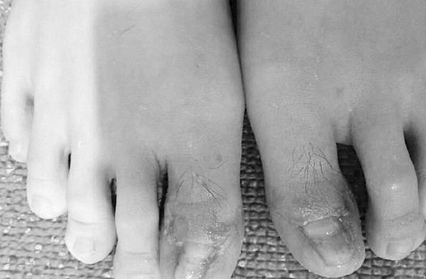 ����ɹ��ֺ������Ƭ���ѵ�٩:��Ӱ������ţ�ͼ��