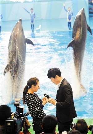 �������������ء����õ��ֳ�����ף����ͼ��