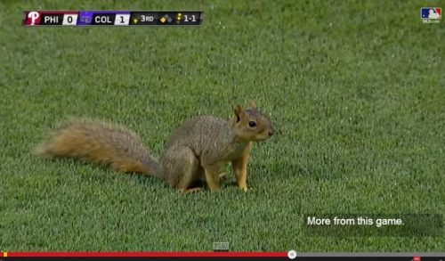 �ɰ�����MLB����������û��ֻ�ܺ���ͣ��ͼ��