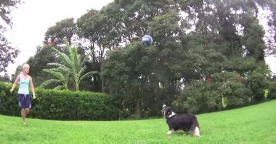 ������������˻�רҵ�����ػ�16�β��жϣ�ͼ��