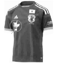 �ձ����������������֡�Ƥ����ӡ�϶ӷ���ͼ��