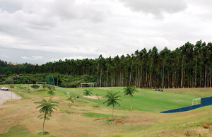 ���籭���й�Ԫ��³�ܰ������س�Ϊѵ��Ӫ��ͼ��