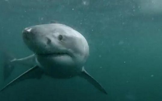 ����ˣ˧��ˮ����������Ӱ����¼����һ�̣�ͼ��