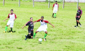 ����ݸ����ֲ�:ѵ����������������ò�����ͼ��