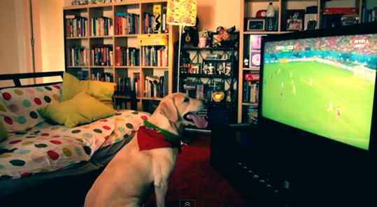 ��Ȯ����������Χ������C��������ҡβ�ͣ�ͼ��