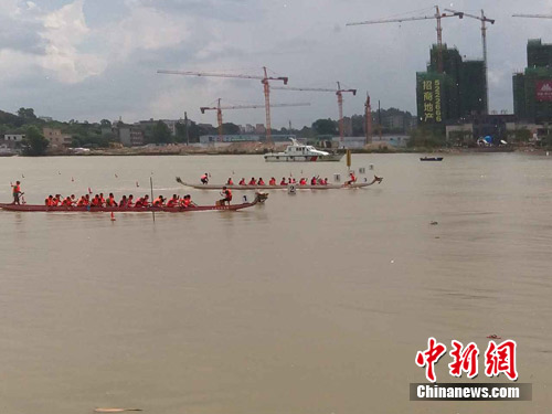 侨乡广东斗门扒龙舟“女汉子”上阵斗“猛男”