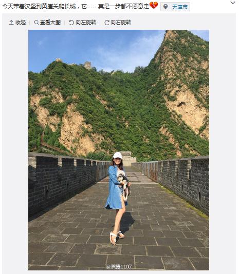 周捷带爱犬爬长城穿拖鞋热裤大秀美腿(图)