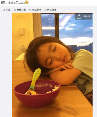 李小鹏晒奥莉吃饭睡着照片网友:睡觉都那么萌