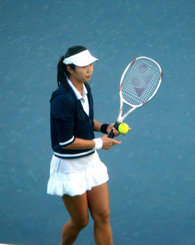 全运明星:网坛"中国金花"五彩绽放(2)——中新网