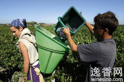 ������2012��ݡ��������ʦ��ݡ�