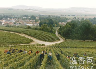 2012�������Ʒ�����ڴ������96��