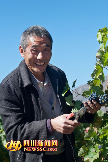 �񹵾�կ���ɽ���Ѿ��Ļ��ڰ�����С��Ļ��2��