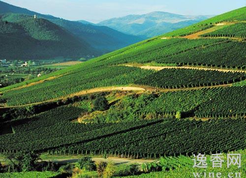 ������˹���������������������Ѿ���