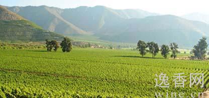 ������׼�����²�������ʵ���������ɣ�ͼ��