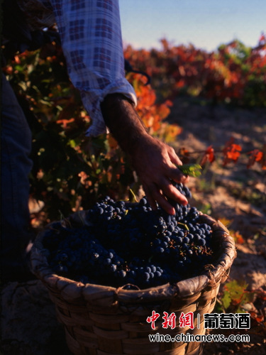 ��¹���������2012��ݱ�����Ϊ����������ͼ��