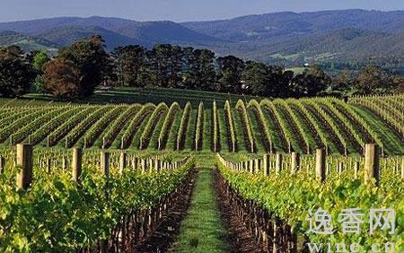 �����������������������ѾƲ�����飨ͼ��