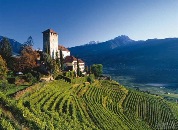 ���ѾƲ�����������и��������ϰ��Ͻܣ�ͼ��