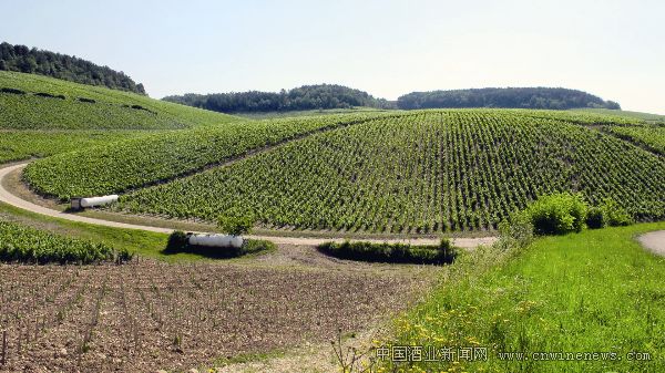 ӡ���Ĳ���������������ƣ�ͼ��