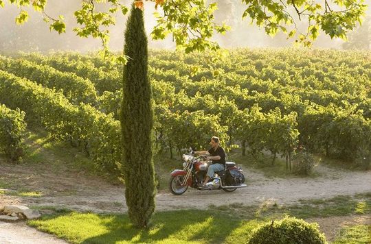 ���ѾƵ�Ӱ��Ѱ����ʧ�����ã�ͼ��