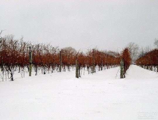 Ʒ��֮�ã����Ǽ������������ι��ԣ�ͼ��