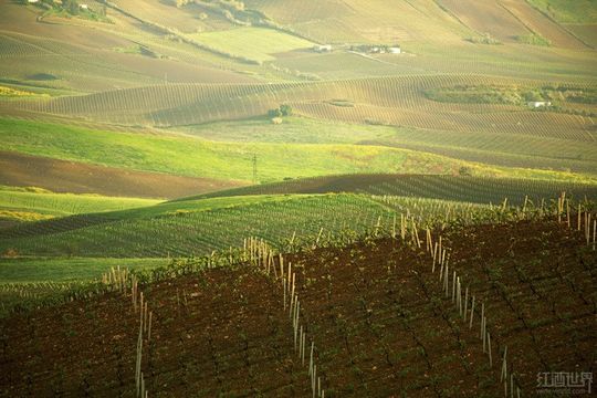 ���ư����߱�֪����������ѾƸ�����ͼ��