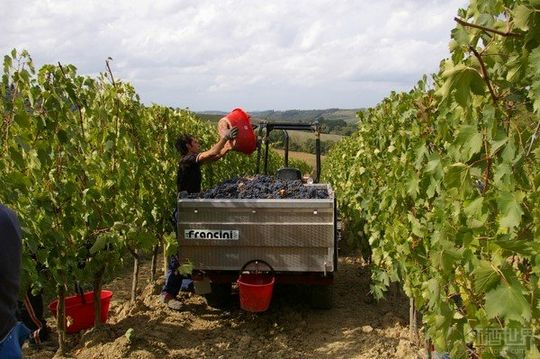 ���ư����߱�֪�������Ѿ�������̣�ͼ��