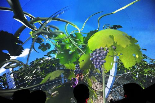 �����ϵľƳǱ����½���ԣ�ͱ��о���ׯ֮�ã�4��