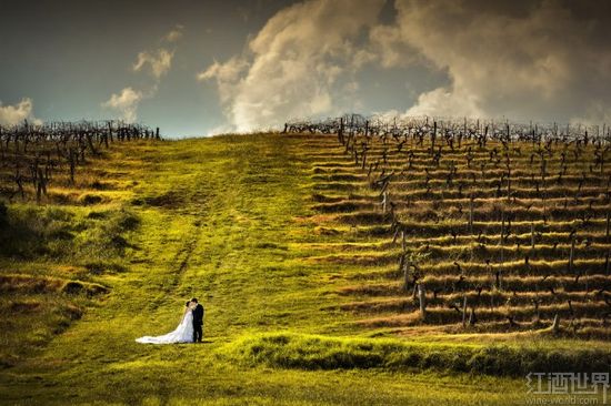 ����԰�����������ͼ��