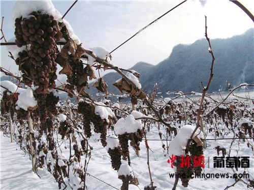 点图查看下一页