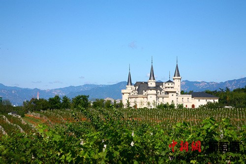 ��ԣ��쳱����ʾ�ׯ��ѡ���ű�ѩ����·