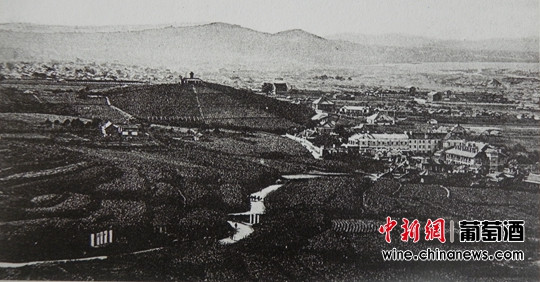 1924���ɫ���ס����ܱ�������ԣ�ļ��أ�ͼ��