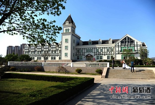 ��ԣ���Ѿ������ηḻ���������죨��ͼ����3��