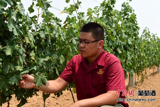 ��ԣ����������ֲ��ʽ���֡����������Ѿƣ���ͼ����3��