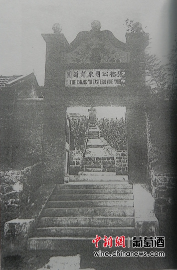 100年前《满洲之果树》惊现张裕葡萄品种名录