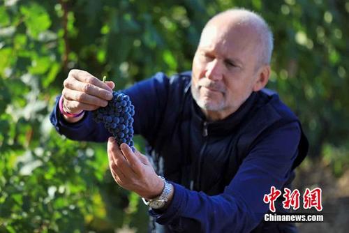 张裕酿酒师将参加伦敦“Decanter美酒相遇之旅”