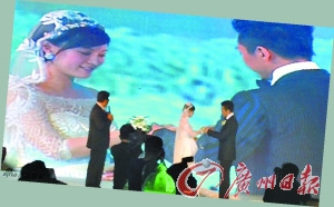 �˳�������Ӯ��������ߡ�ý��á����ϡ�������