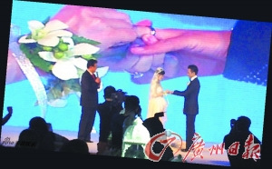 �˳�������Ӯ��������ߡ�ý��á����ϡ������㣨2��