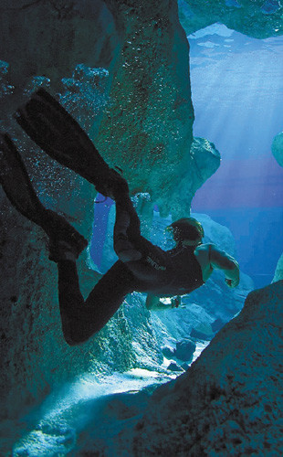 �����Ӱ�ּ��ƶ��ɲ������ٶ����ˡ���Ʊ����ͷ