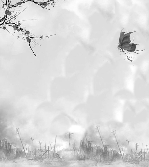 ��ʮ���Ρ���Ժ��