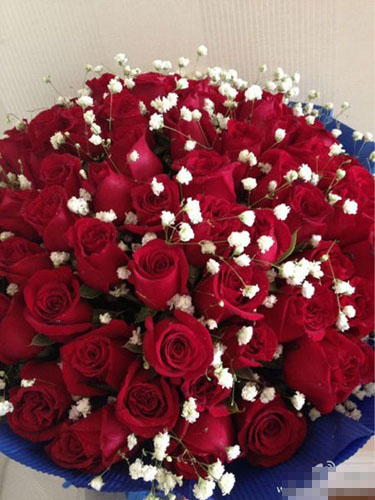 赵薇晒情人节礼物近百朵火红玫瑰花羡煞旁人图
