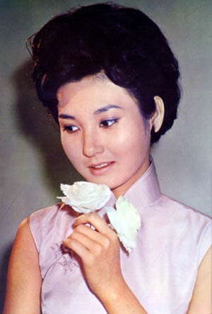 台湾电影演员张美瑶逝世 享年71岁曾入围金钟视后(6)