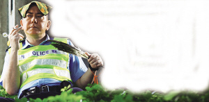 �����֡��ֺá��������ɹ����������Է���û�ں�