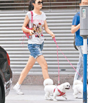 �����ִ���Ȯ��ҽ����ѩ�׳�����·��Χ�ۣ�ͼ��