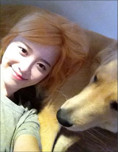 �߻���Ⱦ���밮Ȯ�����ķ�ɫ�밮Ȯ��Ϊһ��