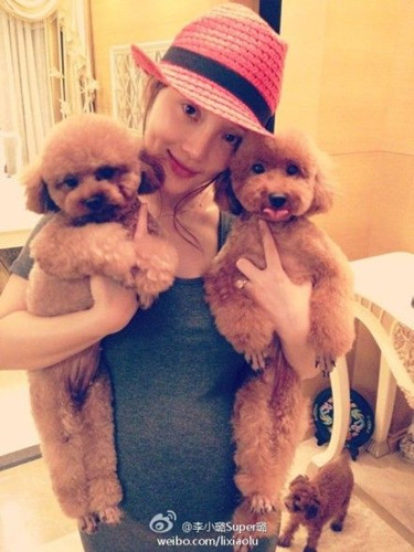 李小璐7月大肚抱萌犬 引孕妇可否养狗热议(图)