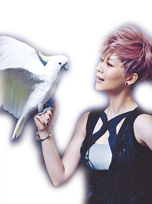 �����붯������Ƿ��������������ĳ������⣨ͼ��